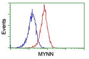 MYNN Antibody (clone OTI1F10)