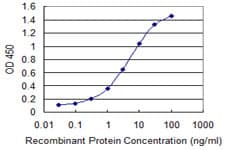 ICT1 / DS1 Antibody (clone 6F8)
