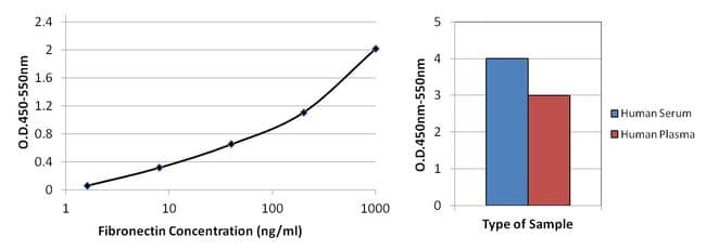 FN1 / Fibronectin Antibody (clone 3F12)