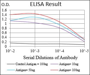 ZEB1 / AREB6 Antibody (aa967-1108, clone 2A8H3)