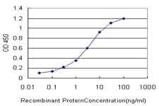 SRSF10 / FUSIP1 Antibody (clone 1A6)