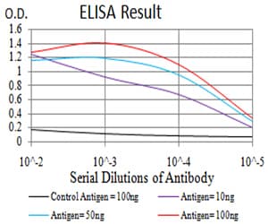 RBFOX3 / NEUN Antibody (clone 1H3B2)