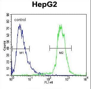 ATP13A3 Antibody (aa101-129)