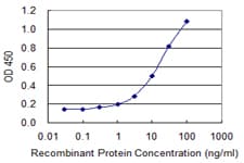 Monoclonal Mouse anti-Human MT2A / Metallothionein 2A Antibody (clone 6G2, WB)