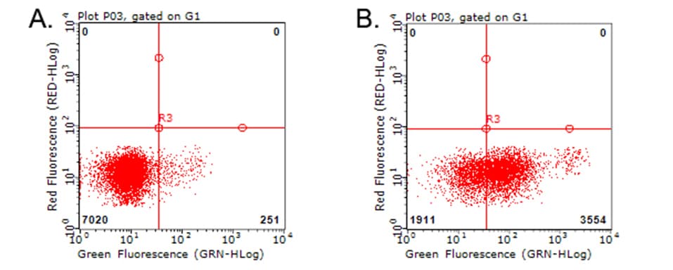 CD274 / B7-H1 / PD-L1 Antibody (clone OTI9E1)