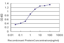 Paralemmin / PALM Antibody (clone 7C5)
