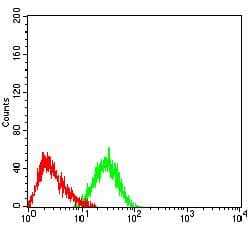 TEM1 / CD248 Antibody (clone 1H11A10)
