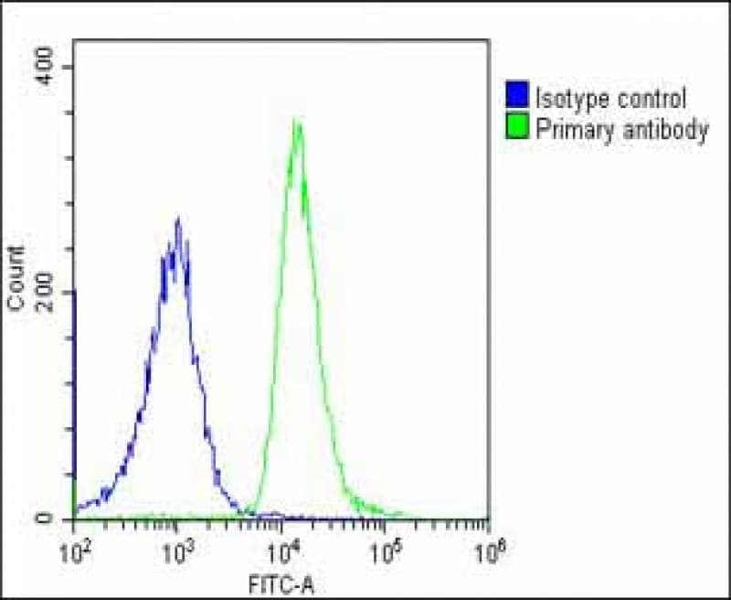 ATP6V1G3 Antibody (N-Terminus)