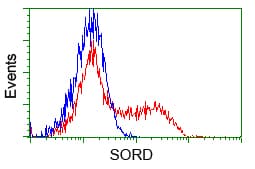 SORD / Sorbitol Dehydrogenase Antibody (clone OTI1D5)