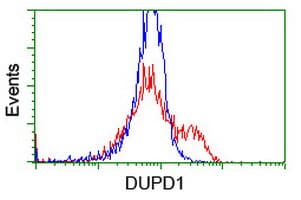 DUPD1 Antibody (clone OTI7E4)