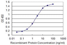 Monoclonal Mouse anti-Human LALBA / Alpha Lactalbumin Antibody (clone 3B3)