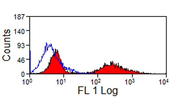MHC Class II Antibody (clone CVS20)