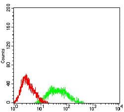 CCR2 Antibody (clone 3B6B1)