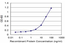 PEX19 Antibody (clone 2E4)