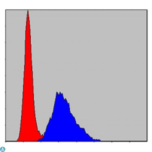 KIF22 / OBP Antibody