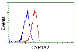 CYP1A2 Antibody (clone OTI8F1)