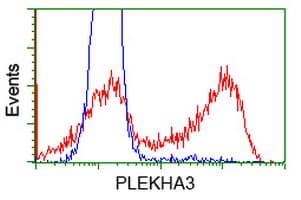 PLEKHA3 Antibody (clone OTI5D11, Carrier-free)