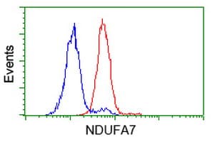 NDUFA7 Antibody (clone OTI2A4, Carrier-free)