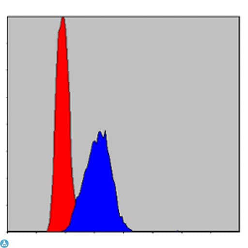 AIFM1 / AIF / PDCD8 Antibody