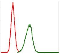 BPIFB1 Antibody (clone 2A5)
