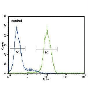 Polyclonal Rabbit anti-Human GLA / Alpha Galactosidase Antibody (aa83-112, IHC, IF, WB)