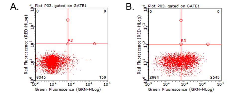 HAVCR2 / TIM-3 Antibody (clone OTI13A8)