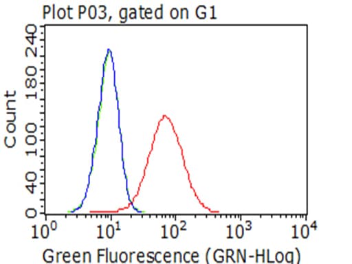 ITGB1 / Integrin Beta 1 / CD29 Antibody (clone OTI9B5)