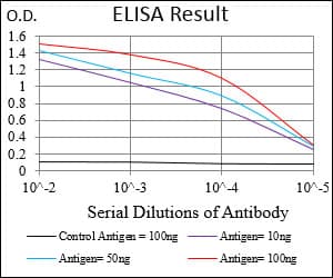 C1qRP / CD93 Antibody (aa474-535, clone 2F7D11)
