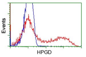 Monoclonal Mouse anti-Human 15-PGDH / HPGD Antibody (clone OTI2F5, IHC, WB)