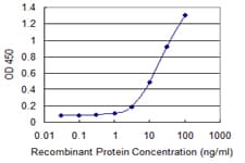 Eomesodermin / EOMES Antibody (clone 1A8)