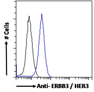 PathPlus™ Polyclonal Goat anti-Human ERBB3 / HER3 Antibody (aa1300-C-term, IHC, IF)