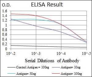DLL4 Antibody (clone 4A11G2)