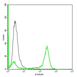 IHC-plus™ Beta Tubulin Antibody (clone 2G7D4)