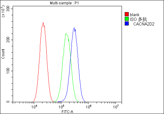 CACNA2D2 Antibody