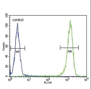 MC2R / ACTHR / ACTH Receptor Antibody (aa261-288)