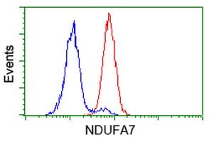 NDUFA7 Antibody (clone OTI5G6)