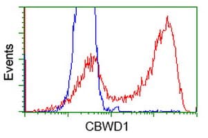 CBWD1 Antibody (clone OTI1B3, Carrier-free)