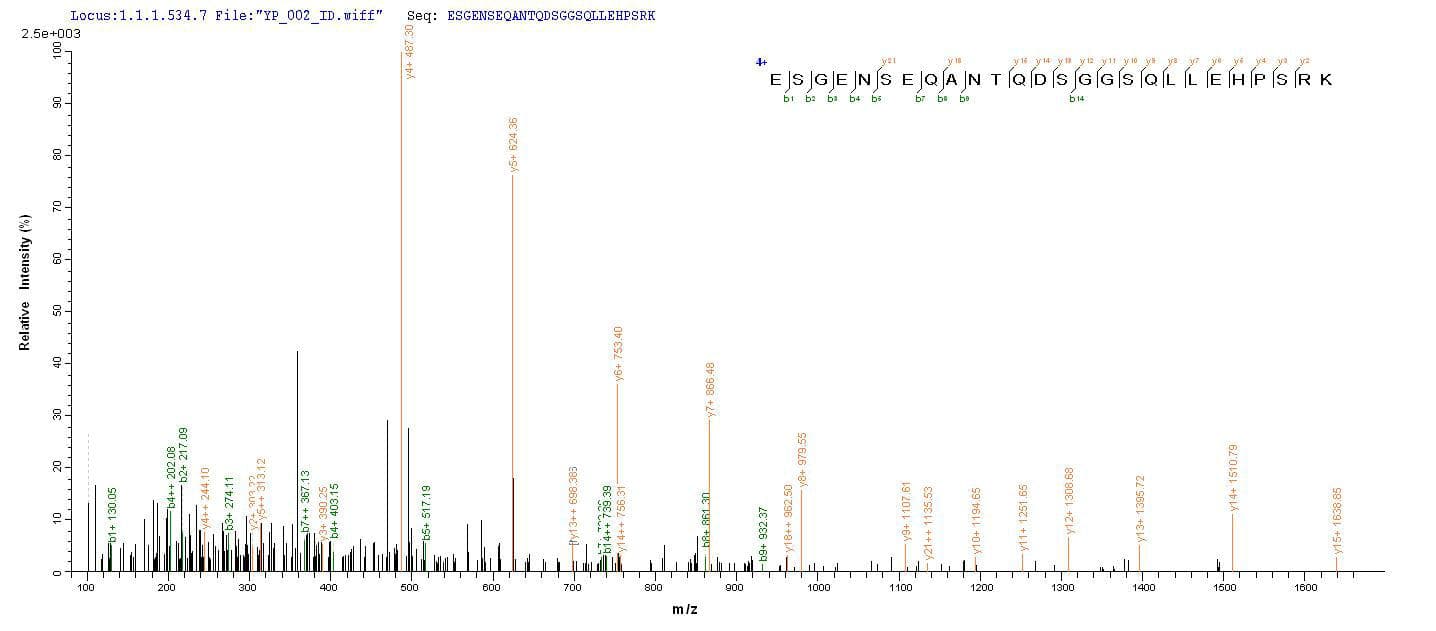Human DMP1 Protein (Recombinant 6His, N-terminus)