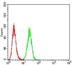 BAK1 / BAK Antibody (clone 2H9H7)