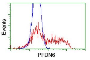 PFDN6 / HKE2 Antibody (clone OTI4E10)