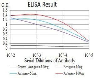 IGLC2 Antibody (clone 5E12B9)