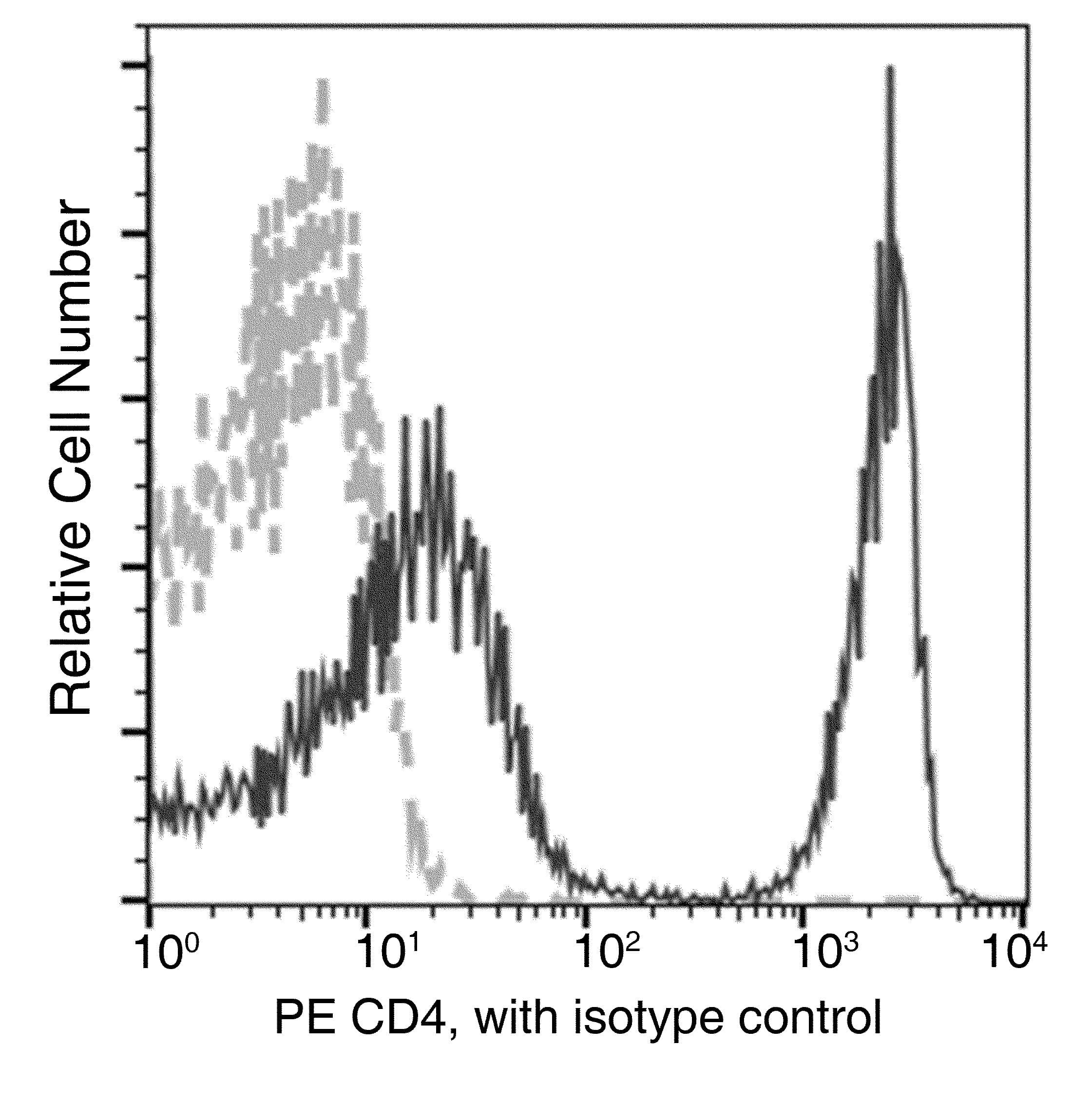 Monoclonal Rabbit anti-Mouse CD4 Antibody (clone 711, PE)