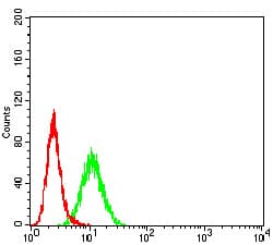 RUNX3 Antibody (clone 7E2B8)