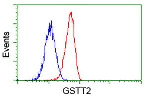 GSTT2 Antibody (clone OTI2E3)
