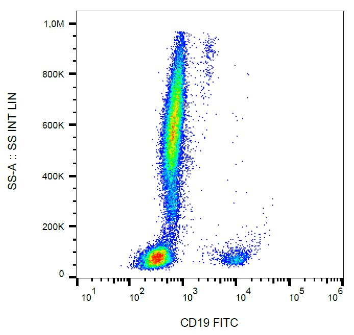 Monoclonal Mouse anti-Human CD19 Antibody (clone LT19, FITC)