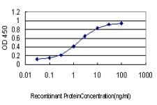 GML Antibody (clone 5F4)