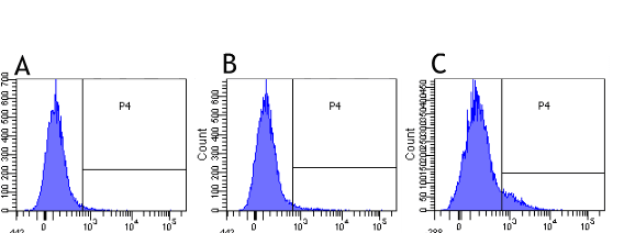 CD30 Antibody (CD30, clone Ki-4)