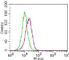 IL-1B / IL-1 Beta Antibody