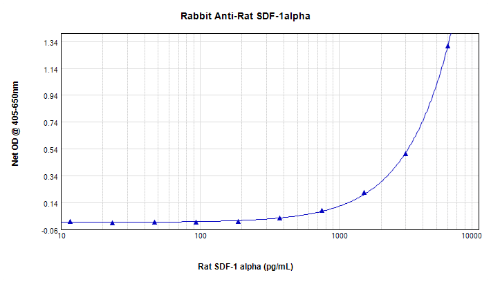 SDF1 / CXCL12 Antibody