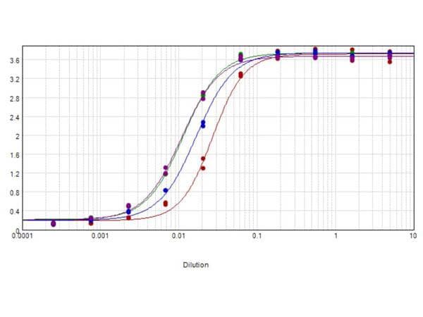 Goat Anti-Horse IgG Fc Secondary Antibody (HRP)